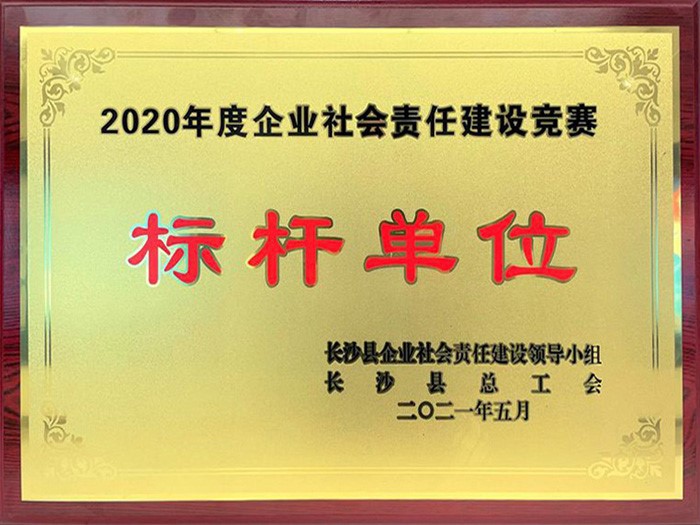 喜讯 | PG娱乐文化荣获2020年度企业社会责任建设竞赛“标杆单位”